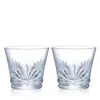 Baccarat Everyday Lutetia Tumbler, Set Of 2 In Transparent
