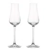 Baccarat Set Of 2 Chateau  Flutes