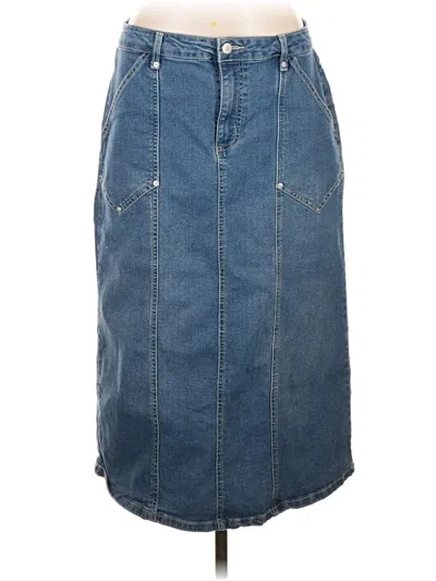 Pre-owned Baccini Denim Skirt In Blue
