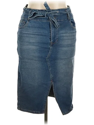 Pre-owned Baccini Denim Skirt In Blue