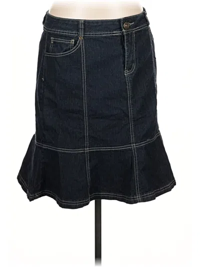 Pre-owned Baccini Denim Skirt In Blue