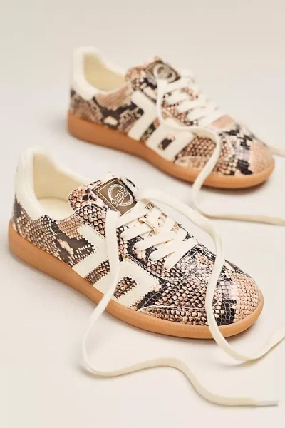 Back 70 Cloud W26 Sneakers In Animal Print