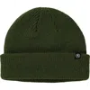 Backcountry Capra Rolled Beanie In Green