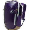 Backcountry Destination 20l Backpack In Purple