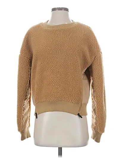 Pre-owned Backcountry Pullover Sweater In Brown