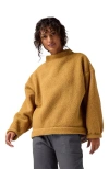 Backcountry Wander Pile-fleece Mock-neck Top In Brown