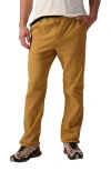 Backcountry Wasatch Ripstop Pant In Brown