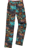 Backcountry Wasatch Ripstop Trail Pant In Multi