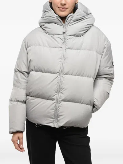 Bacon Cloud Quilted Jacket In Grey