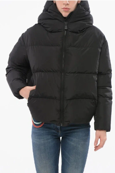 Bacon Hooded Cloud Down Jacket With Front Zip