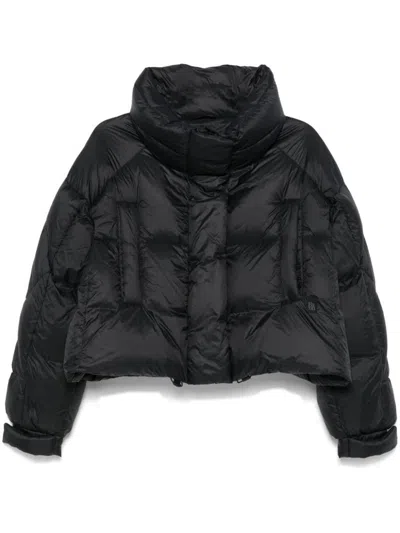 Bacon Puffa Ring Down Jacket In Black