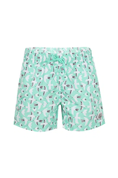 Badawii Boy Shorts Seagull Breeze In Green