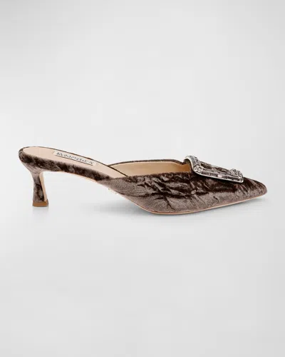 BADGLEY MISCHKA ABIGAYL VELVET BUCKLE MULE PUMPS