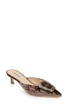 Badgley Mischka Collection Abigayl Pointed Toe Mule In Brown Velvet