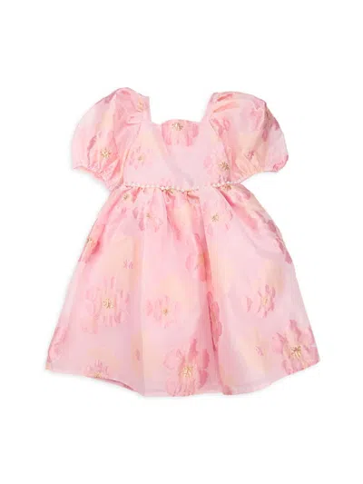 Badgley Mischka Kids' Little Girl's Addison Floral Fit & Flare Dress In Pink