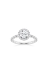 Badgley Mischka Collection Round Cut Lab Created Diamond Halo Pavé Ring In Platinum