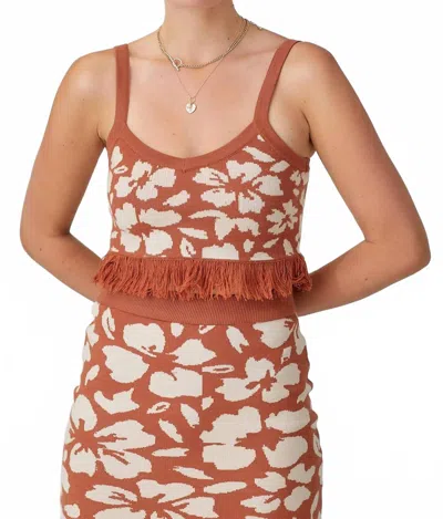 Baevely By Wellmade Tulum Nights Knit Crop Top In Brown