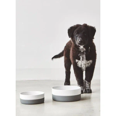 Bagane Gamelle En Porcelaine Et Silicone