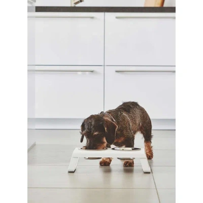 Bagane Set De Deux Gamelles Miacara Desco