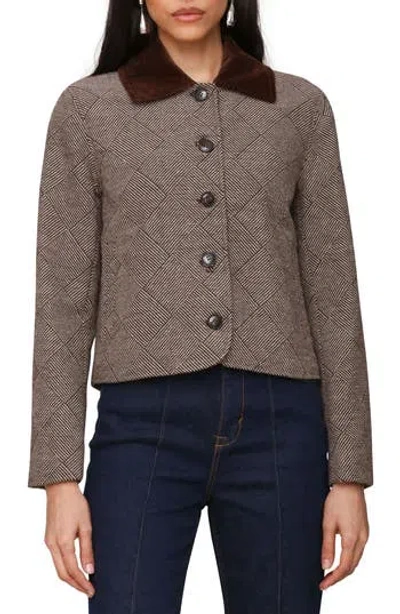 Bagatelle Corduroy Collar Crop Jacket In Brown Basket