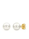 Baggins Akoya Pearl Earrings In Gold