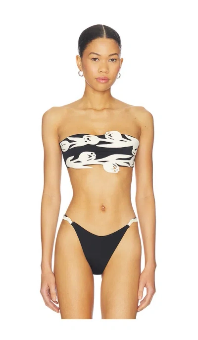 Bahia Maria Agata Bikini Top In Black