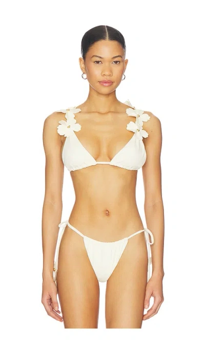 Bahia Maria Flore Bikini Top In White