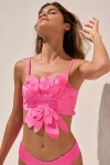 Bahia Maria Margarita Bikini Top In Pink