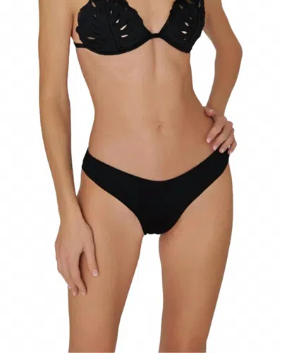 Bahia Maria Swimwear Classic Bikini Bottoms In Black