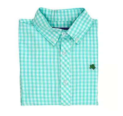 Bailey Boys Kids' Boy's Button Down Shirt In Mint Check In Multi