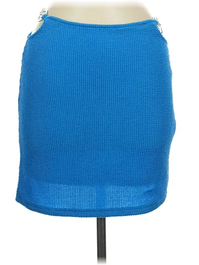 Pre-owned Bailey Rose Casual Skirt In Blue