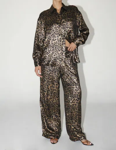 Bailey Rose Fierce And Fab Leopard Pants In Black Animal Print In Multi
