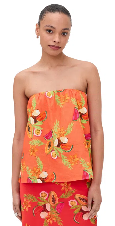 Bailey Rose Papaya Strapless Top Papaya In Orange