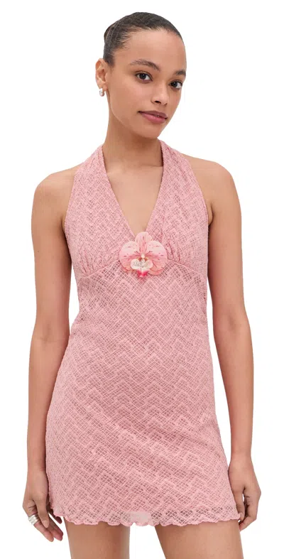 Bailey Rose Pink Mini Dress Rose