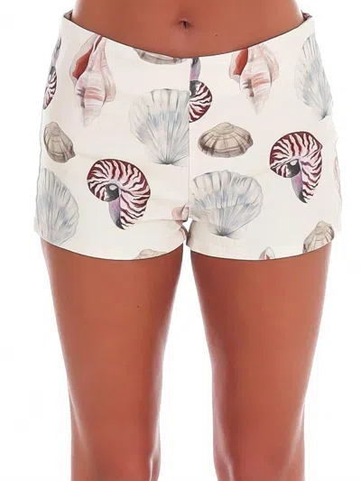 Bailey Rose Women's Seashell Hunt Print Shorts In Cream In Multi