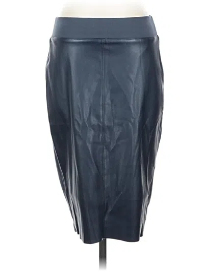 Pre-owned Bailey44 Faux Leather Skirt In Blue