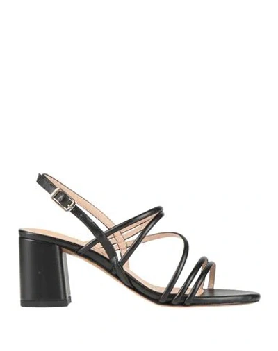 Bailly Woman Sandals Black Size 8 Textile Fibers