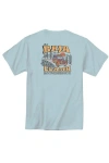 Baja Llama Bus Experience In Teal