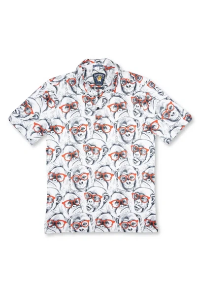 Baja Llama Dr. Yessir Monkey In White