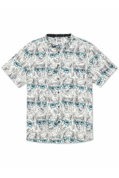 Baja Llama Llama M.d. In White