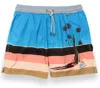 Baja Llama Men's 5pm Stretch Swim Short In Blue In Blue