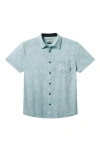 Baja Llama Roll Tides In Blue