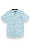 Baja Llama Roll Tides In Blue