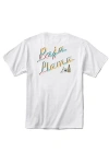 Baja Llama Men's White Si Señor - Primo Graphic Tee In White