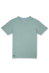 Baja Llama Slub Pima Tee In Green