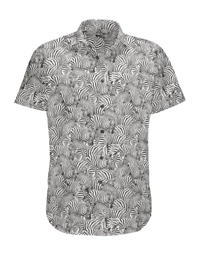 Baja Llama Too Many Lines Black 7 Seas Button Up Shirt In Zebra In Multi