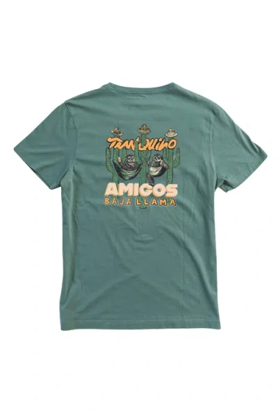 Baja Llama Tranquilo Amigos In Green
