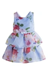 BAKER BY TED BAKER BAKER BY TED BAKER KIDS' PAPER FLORAL TIERED DRESS