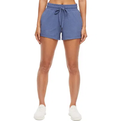 Balance Collection 2-pack Seaside Shorts In Blue