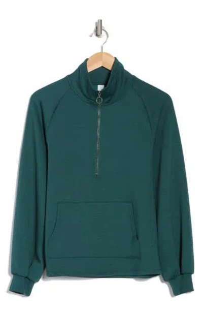 Balance Collection Katie Quarter Zip Sweatshirt In June Bug